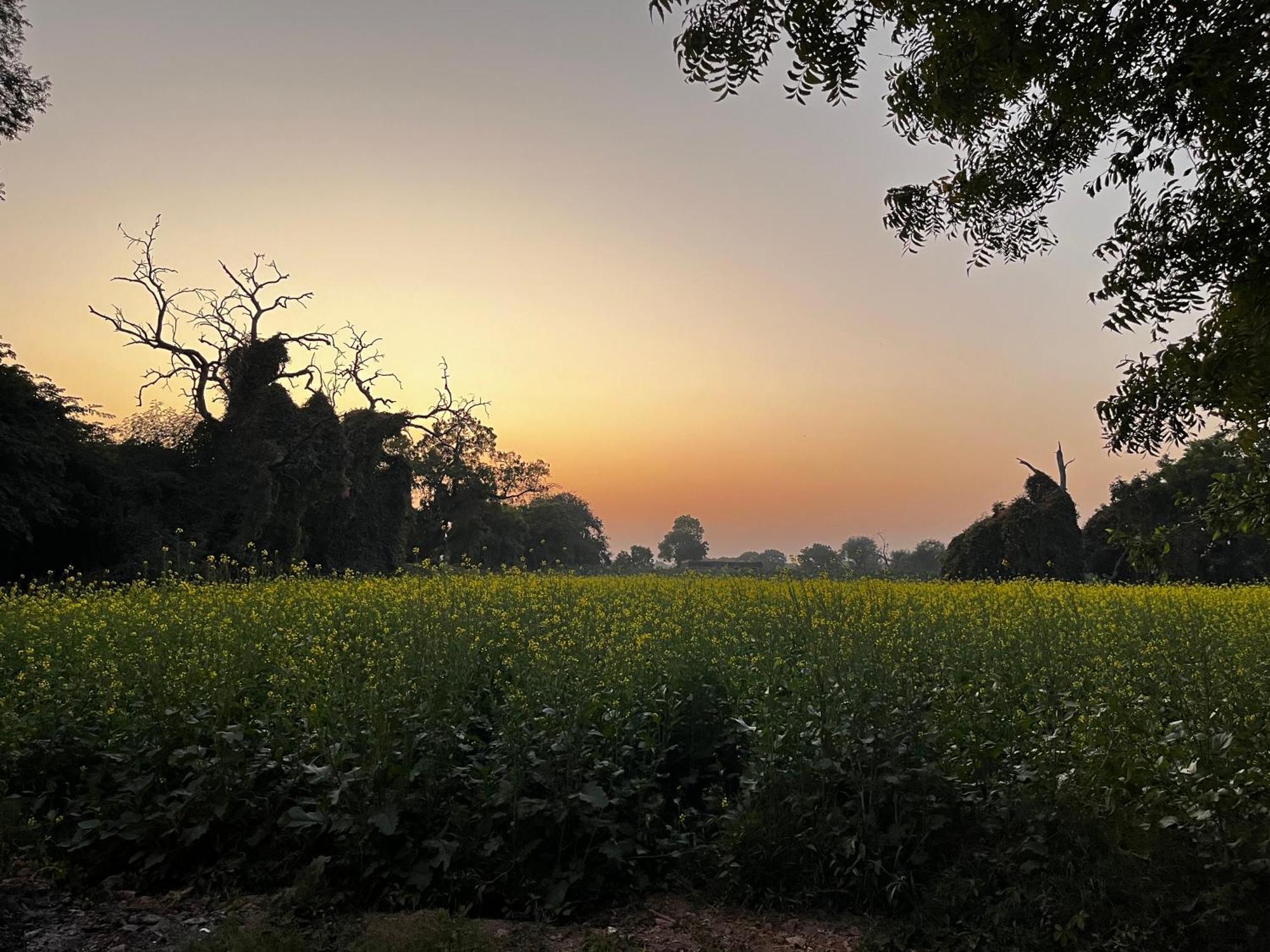 Sharad Baug Homestay Bhuj Esterno foto