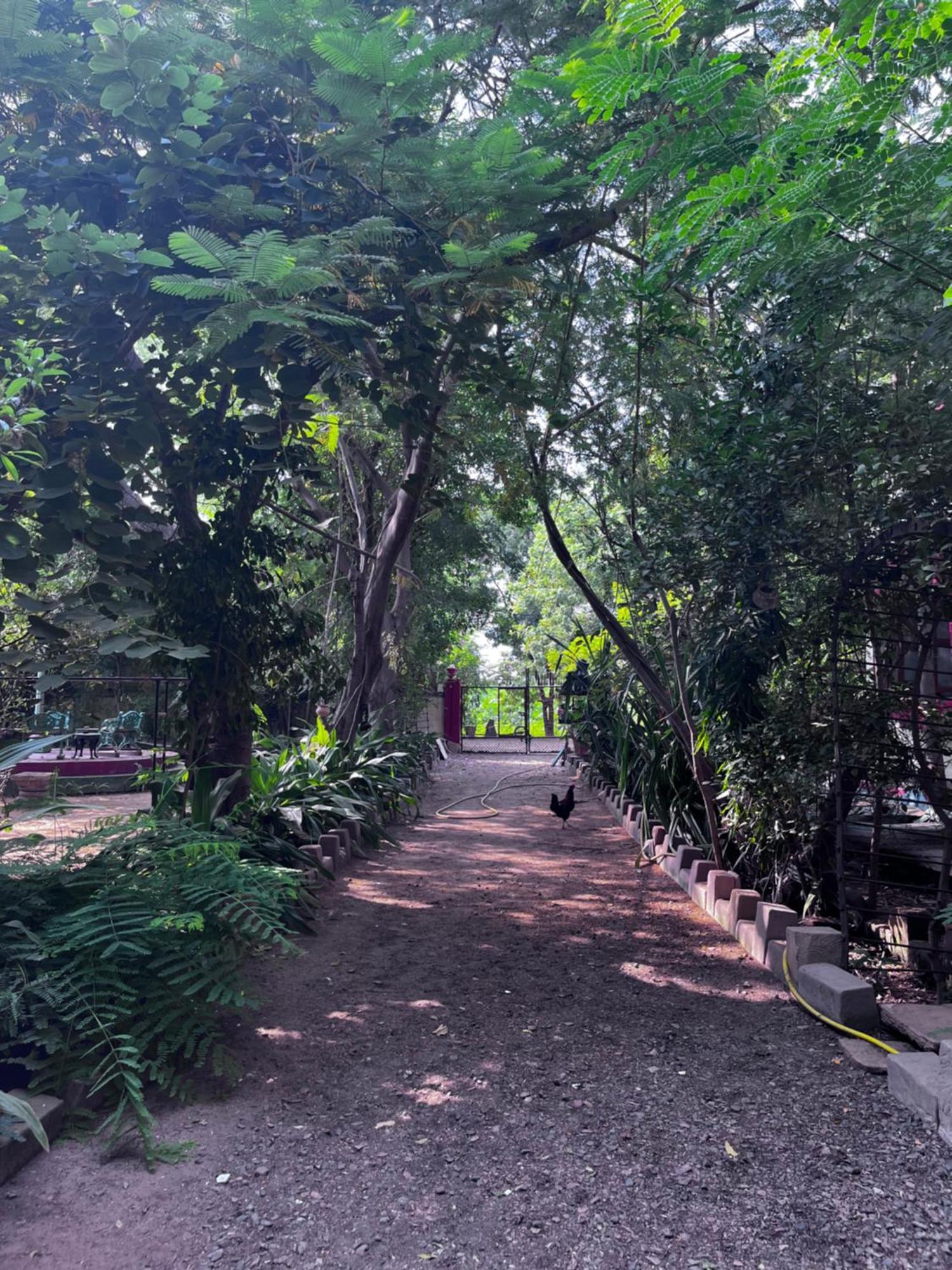 Sharad Baug Homestay Bhuj Esterno foto