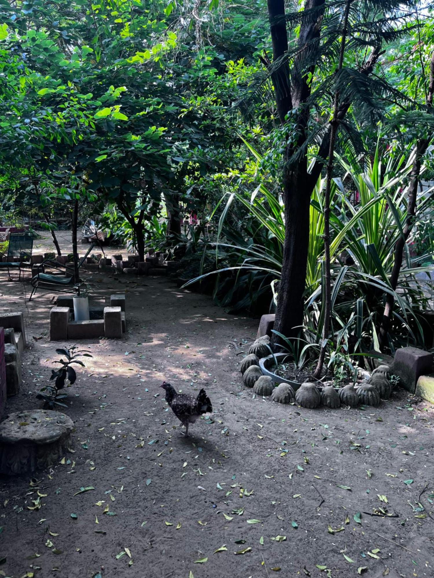 Sharad Baug Homestay Bhuj Esterno foto